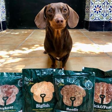 Il nostro segreto 🤫 Mamma mi dà la migliore alimentazione, rispettando i miei gusti. Io amo il pollo, 🐥 è la mia perdizione. @foodforjoe lo prepara con verdure e tutto il necessario per una dieta completa. È delizioso. Facile, basta scongelare e servire (mamma ora me lo scalda un po').